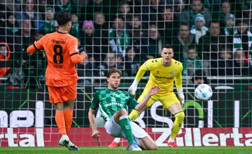 Betsomnia Casino Review and Guide